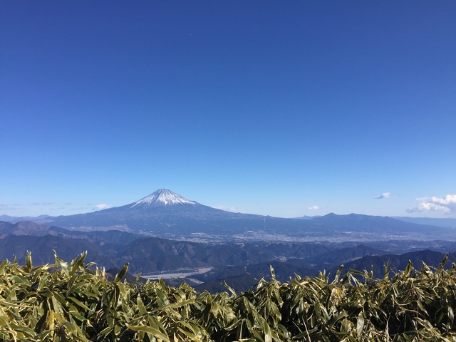 IMG_4708.jpeg